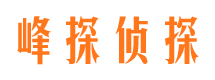 定州市侦探调查公司